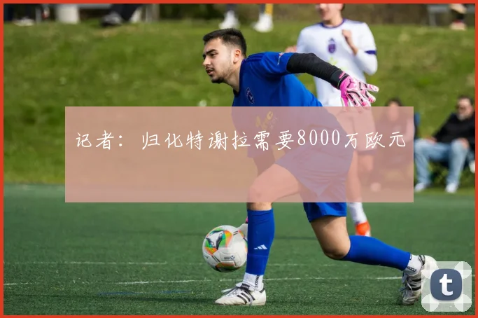 记者：归化特谢拉需要8000万欧元