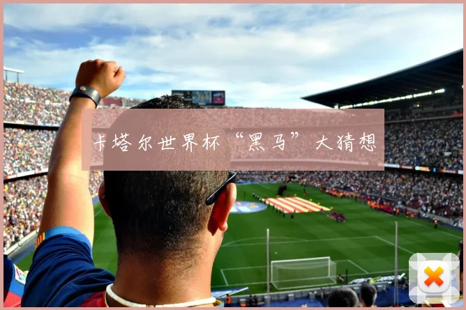 卡塔尔世界杯“黑马”大猜想