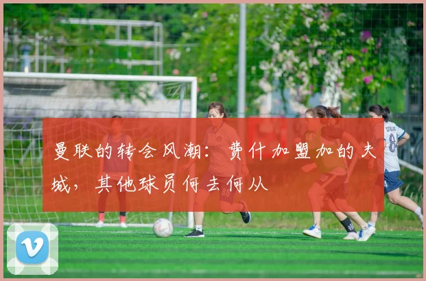 曼联的转会风潮：费什加盟加的夫城，其他球员何去何从