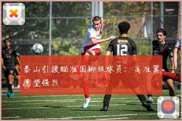 泰山引援瞄准国脚级球员：高准翼愿望强烈