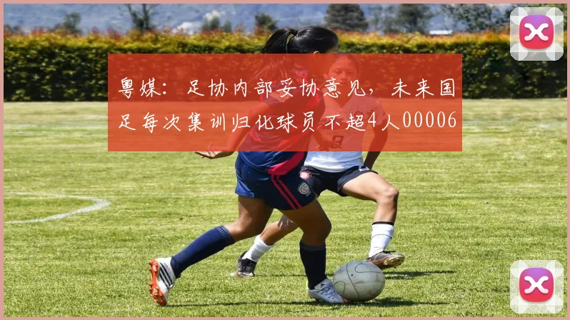 粤媒：足协内部妥协意见，未来国足每次集训归化球员不超4人0000644