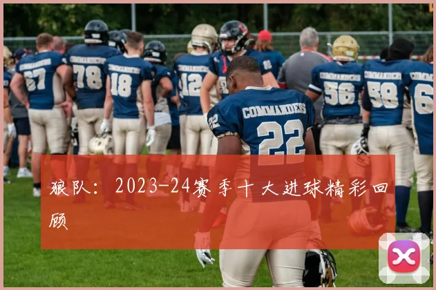 狼队：2023-24赛季十大进球精彩回顾