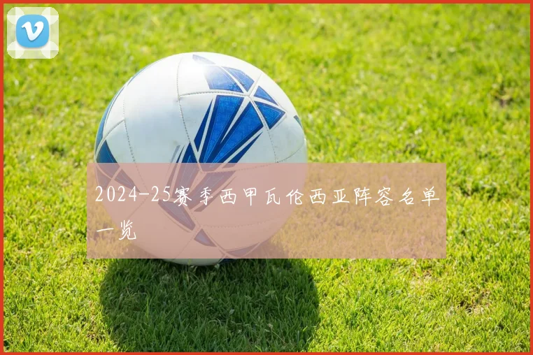 2024-25赛季西甲瓦伦西亚阵容名单一览