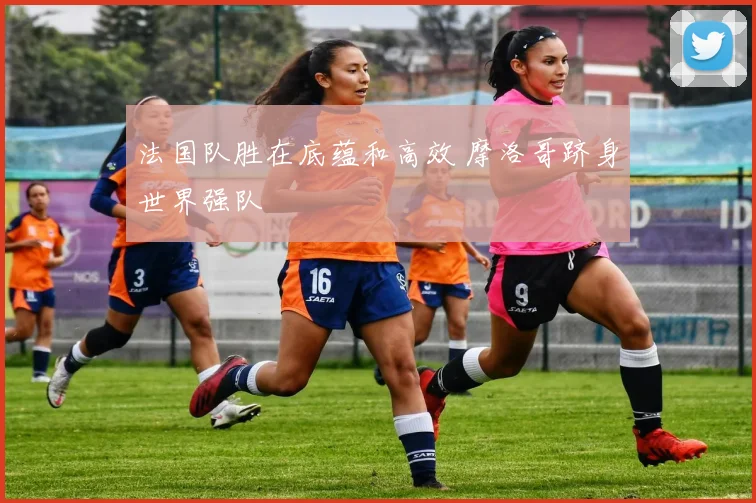 法国队胜在底蕴和高效 摩洛哥跻身世界强队