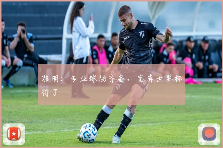 骆明：专业球场齐备，直奔世界杯得了
